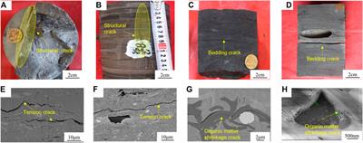 Investigating the Pore Structure Characteristics and Reservoir Capacities of Lower Jurassic Continental Shale Reservoirs in the Northeastern Sichuan Basin, China